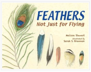 Feathers: Not Just For Flying