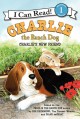 9091 2018-03-07 18:56:52 2024-05-16 02:30:02 Charlie the Ranch Dog: Charlie's New Friend 1 9780062219145 1  9780062219145_small.jpg 4.99 4.49 Drummond, Ree Delightful characters suggest that becoming friends may be the best solution. 2024-05-15 00:00:02 G true  8.93000 6.31000 0.14000 0.16000 000402352 HarperCollins Q Quality Paper I Can Read Level 1 2014-01-07 32 p. ; BK0013476342 Children's - Preschool-3rd Grade, Age 4-8 BKP-3         41 4 1 1 0 ING 9780062219145_medium.jpg 0 resize_120_9780062219145.jpg 0 Drummond, Ree   2.0 In print and available 0 0 0 0 0  1 0  1 2018-03-08 13:48:10 0 6 0