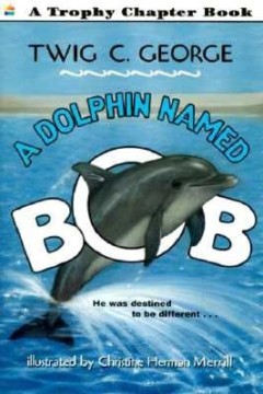A Dolphin Named Bob