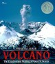 6225 2009-07-01 17:16:15 2024-05-17 02:30:02 Volcano: The Eruption and Healing of Mount St. Helens 1 9780689716799 1  9780689716799_small.jpg 9.99 8.99 Lauber, Patricia  2024-05-15 00:00:02 G true  10.46000 9.20000 0.24000 0.70000 000062709 Simon & Schuster Books for Young Readers Q Quality Paper  1993-03-31 64 p. ; BK0002160744 Children's - 2nd-5th Grade, Age 7-10 BK2-5  1987 Newbery Honor    Newbery Medal | Honor Book | Children's | 1987   82 5 4 1 0 ING 9780689716799_medium.jpg 0 resize_120_9780689716799.jpg 0 Lauber, Patricia   4.8 In print and available 0 0 0 0 0 1980 1 0 1980 1 2016-06-15 14:41:25 0 18 0
