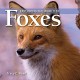 8869 2017-01-25 19:42:02 2024-05-14 02:30:02 Exploring the World of Foxes 1 9781554076161 1  9781554076161_small.jpg 6.95 6.26 Read, Tracy C. Provides an interesting introduction to a fascinating creature and features full-color photographs to illustrate many details. 2024-05-08 00:00:02 M true  6.64000 7.86000 0.08000 0.20000 000023698 Firefly Books Q Quality Paper Exploring the World of 2010-03-12 24 p. ; BK0008626244 Children's - 2nd-5th Grade, Age 7-10 BK2-5         75 3 3 1 0 ING 9781554076161_medium.jpg 0 resize_120_9781554076161.jpg 0 Read, Tracy C.   4.2 In print and available 0 0 0 0 0  1 0  1 2017-01-25 19:49:24 0 0 0