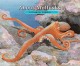 8794 2016-12-22 14:29:47 2024-05-14 02:30:02 About Mollusks: A Guide for Children 1 9781561454068 1  9781561454068_small.jpg 7.95 7.16 Sill, Cathryn  2024-05-08 00:00:02 M true  8.50000 10.10000 0.10000 0.46000 000051306 Peachtree Publishers Q Quality Paper About. . . 2008-03-04 40 p. ; BK0007645354 Children's - Preschool-2nd Grade, Age 4-7 BKP-2            0 0 ING 9781561454068_medium.jpg 0 resize_120_9781561454068.jpg 0 Sill, Cathryn   2.6 In print and available 0 0 0 0 0  1 0  1 2016-12-22 14:32:18 0 0 0