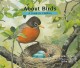 9018 2017-12-28 11:10:50 2024-05-16 22:30:02 About Birds: A Guide for Children 1 9781561456994 1  9781561456994_small.jpg 7.99 7.19 Sill, Cathryn  2024-05-15 00:00:02 M true  9.80000 8.20000 0.20000 0.35000 000051306 Peachtree Publishers Q Quality Paper About. . . 2013-04-02 40 p. ; BK0012092321 Children's - Preschool-2nd Grade, Age 3-7 BKP-2        Was BAS for Grade 1 Questioning 43 2 1 1 0 ING 9781561456994_medium.jpg 0 resize_120_9781561456994.jpg 0 Sill, Cathryn   1.2 In print and available 0 0 0 0 0  1 0  1 2017-12-28 12:39:01 0 6 0